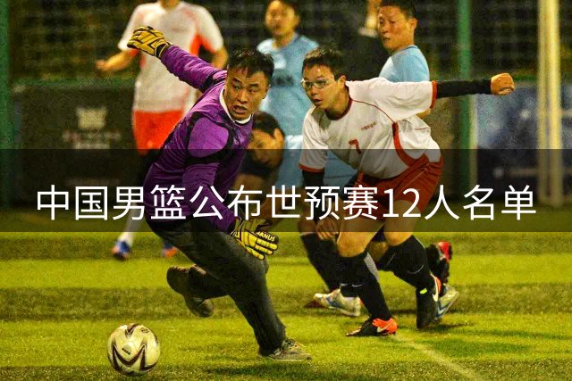 中国男篮公布世预赛12人名单