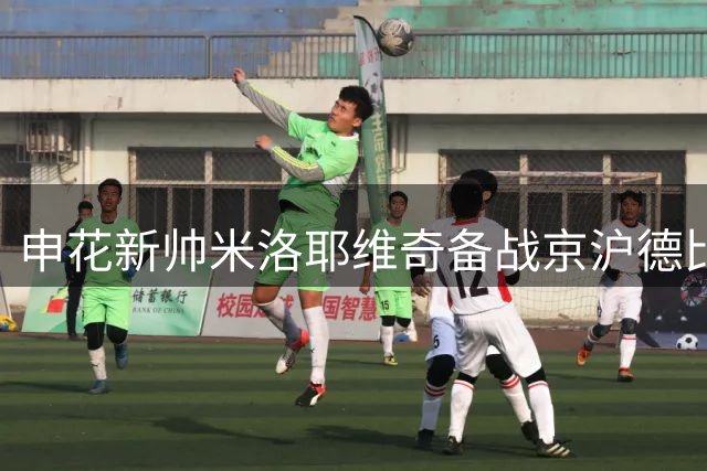 申花新帅米洛耶维奇备战京沪德比 与中场核心密切交流